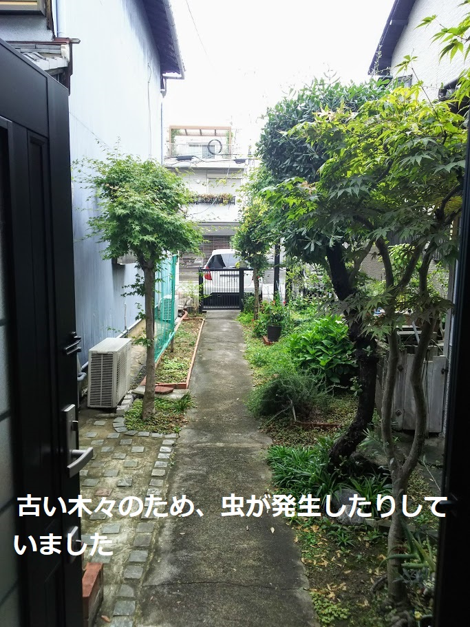 年5月 仕事場の玄関アプローチ工事完成 着物 お仕立て お直し Com着物 お仕立て お直し Com